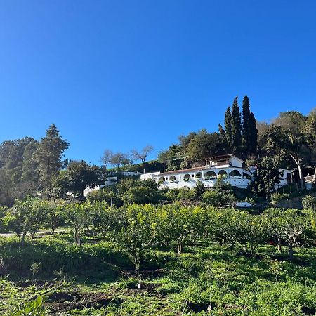 Finca Los Arcos Del Laurel Moya  Extérieur photo