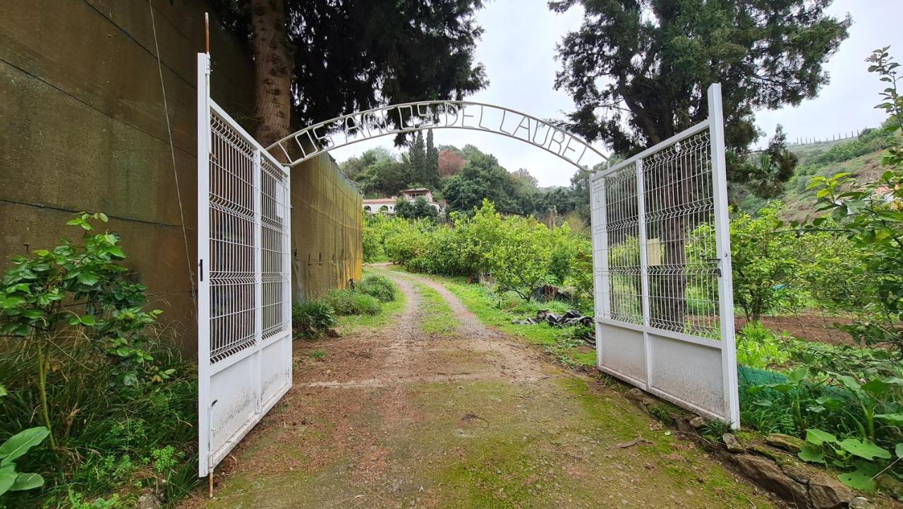 Finca Los Arcos Del Laurel Moya  Extérieur photo