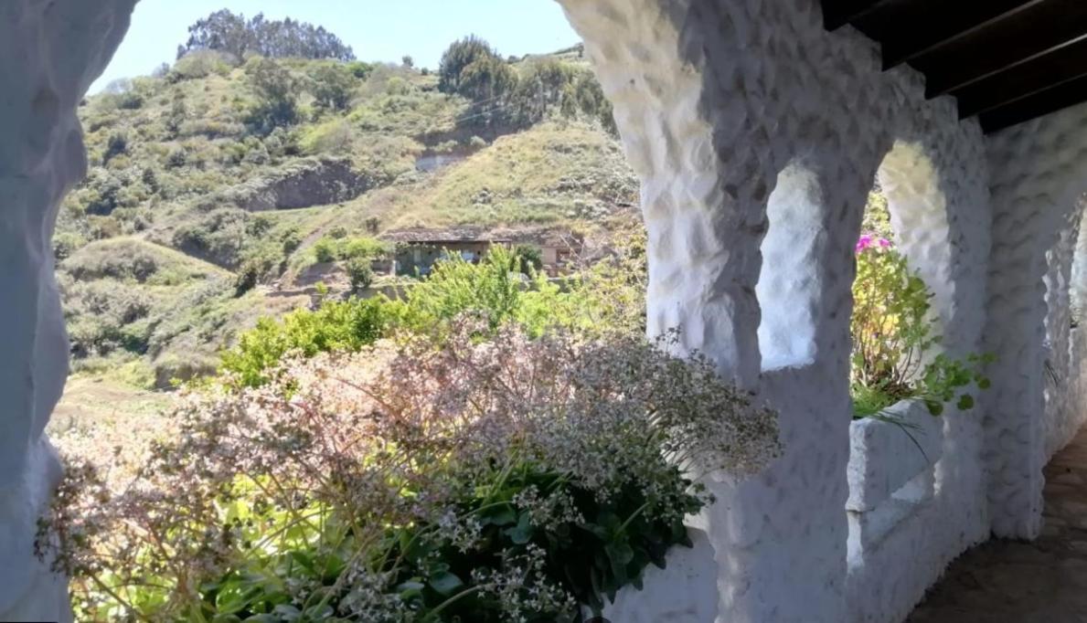 Finca Los Arcos Del Laurel Moya  Extérieur photo