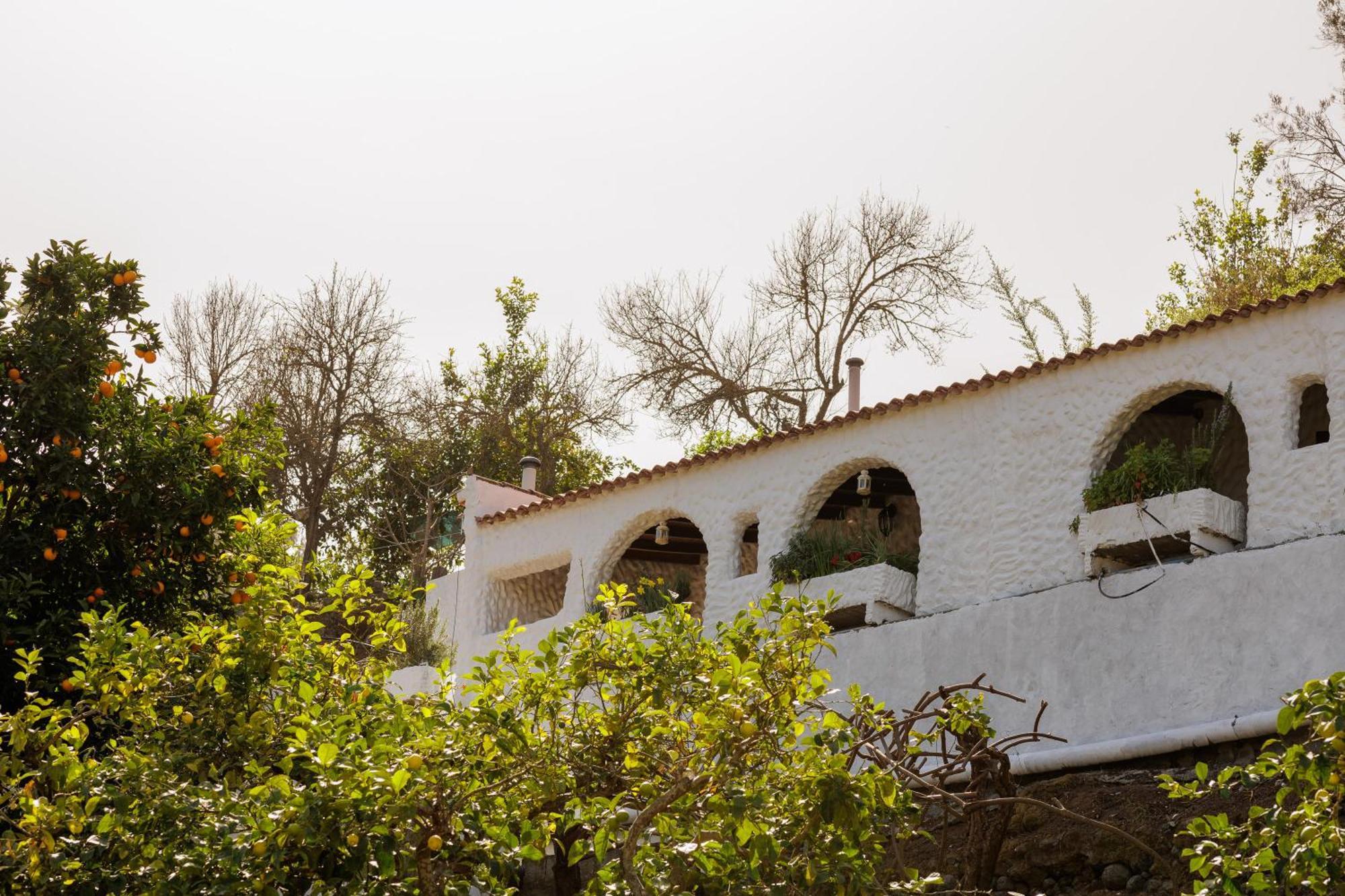Finca Los Arcos Del Laurel Moya  Extérieur photo