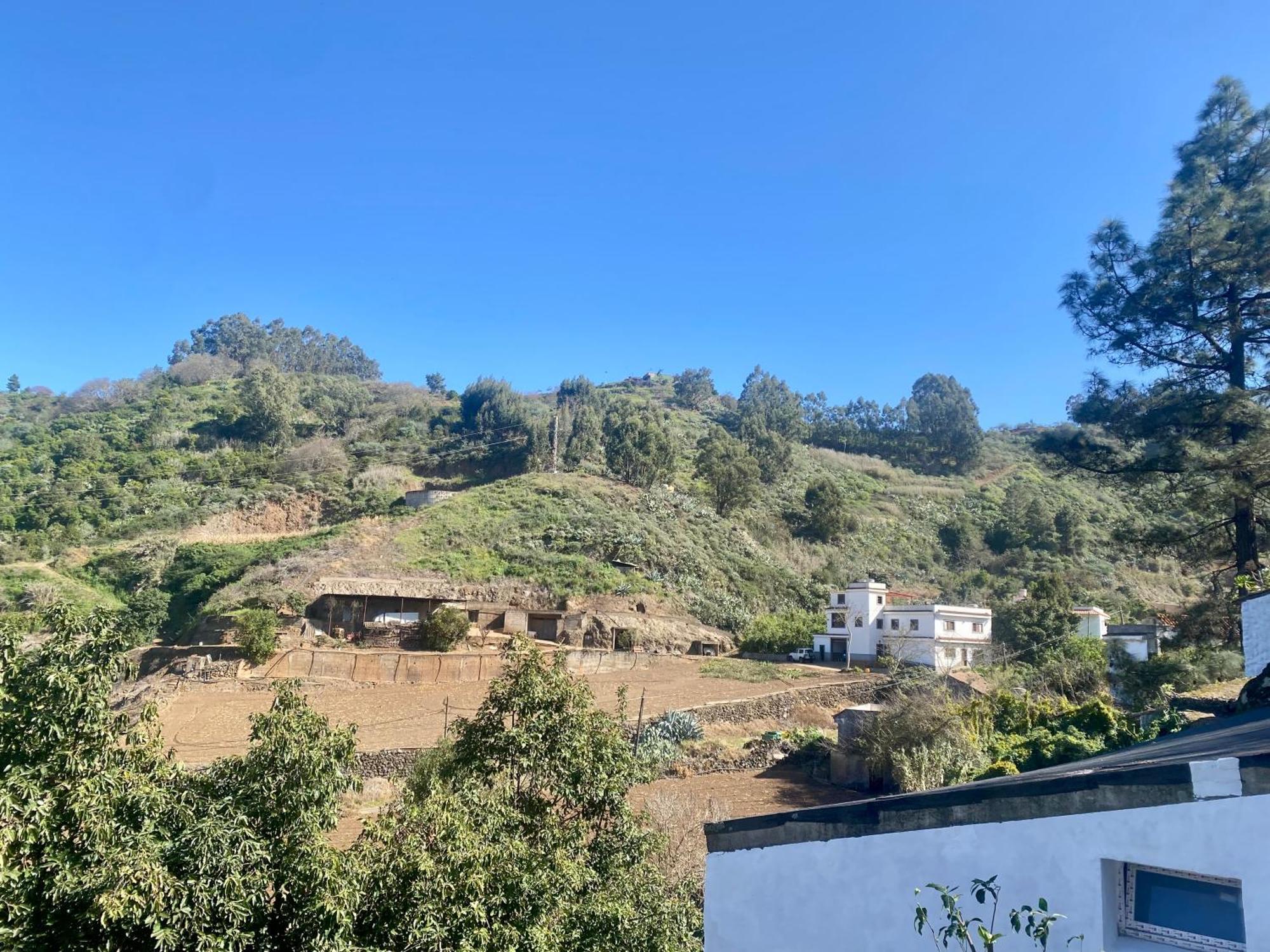 Finca Los Arcos Del Laurel Moya  Extérieur photo