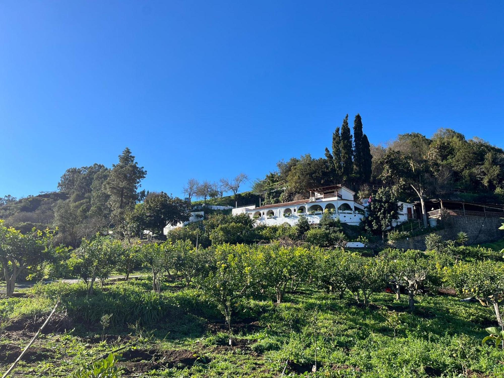 Finca Los Arcos Del Laurel Moya  Extérieur photo