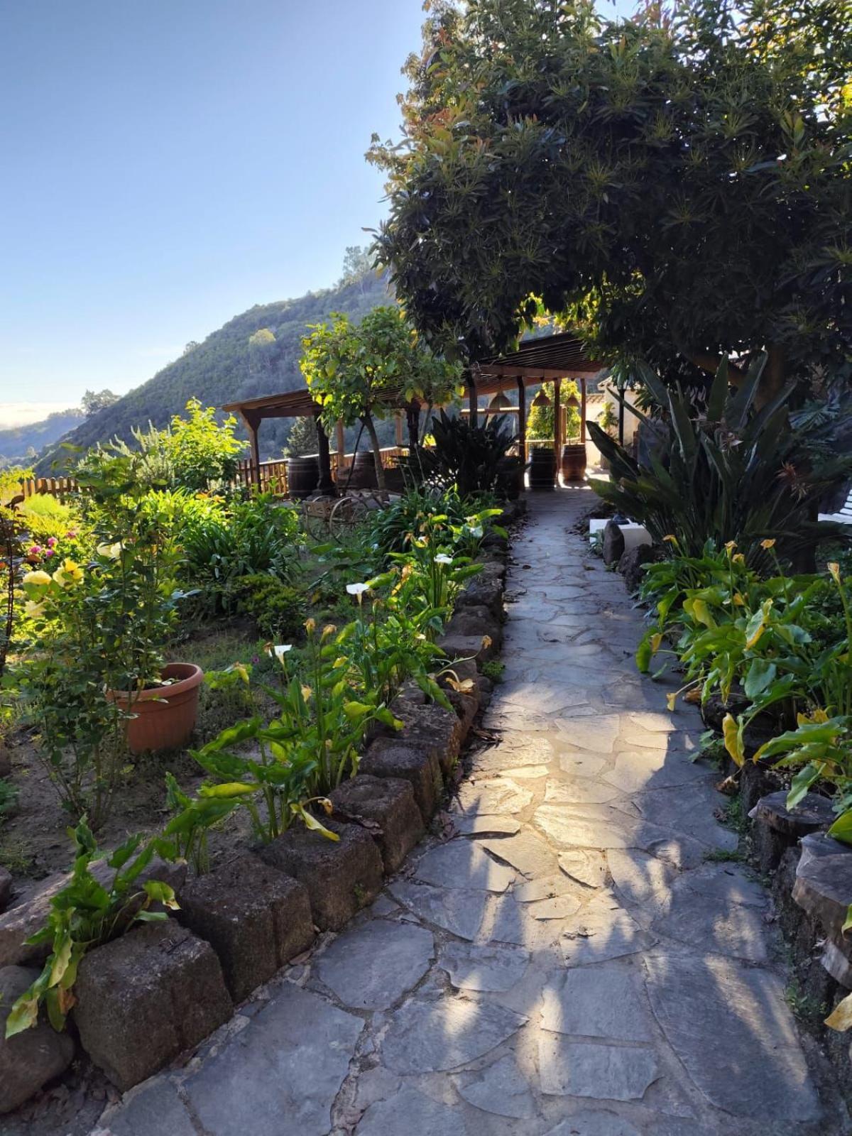 Finca Los Arcos Del Laurel Moya  Extérieur photo