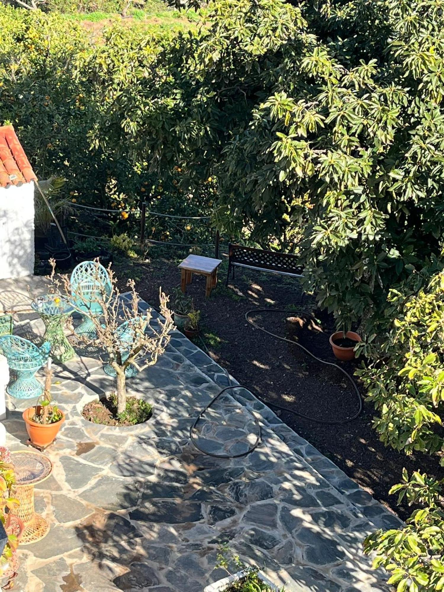 Finca Los Arcos Del Laurel Moya  Extérieur photo