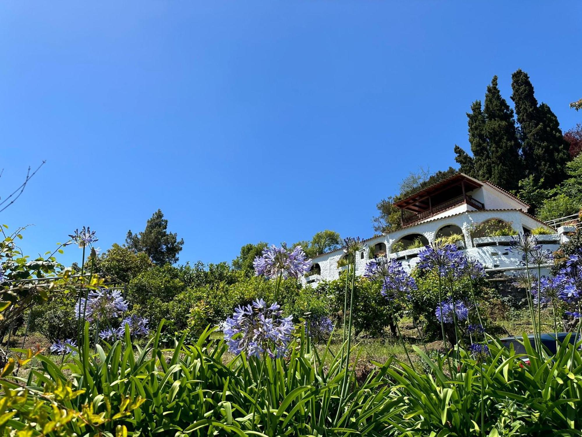 Finca Los Arcos Del Laurel Moya  Extérieur photo